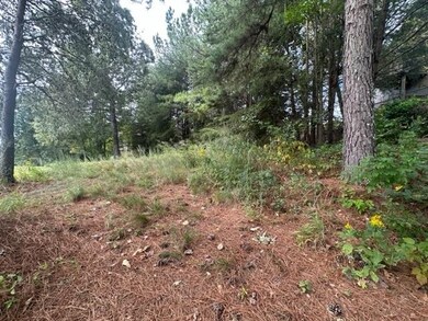 101 Cottage Ln, Toccoa, GA 30577 - photo 4