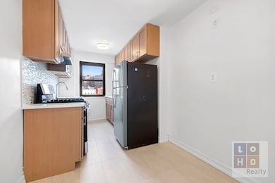 Seward Park Housing unit A307, New York, NY 10002 - photo 5