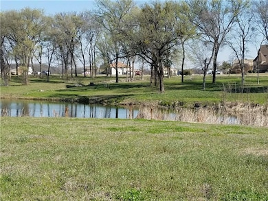 Another picture of the Pond at the back of the lot