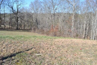 Atala Trail Lot 37 pic 2