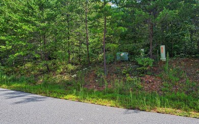 Additional View