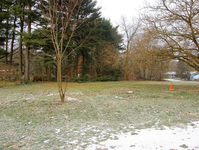 1114_6_Backyard