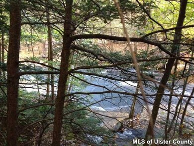 90 Saint Josen Rd, Accord, NY 12404 - photo 5