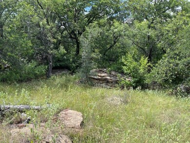 TBD County Road 105, Brownwood, TX 76801 - photo 6