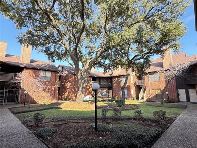 Courtyard outside unit 509