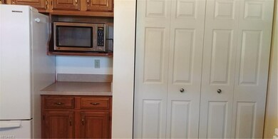 Large pantry and Microwave space