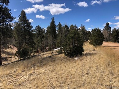 Smell the wonderful pine trees!