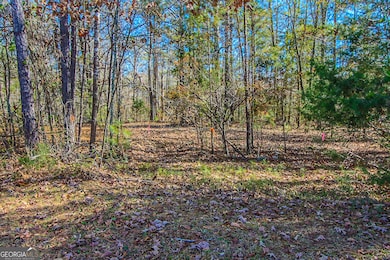 0 Haley Rd unit 10651240, Jackson, GA 30233 - photo 6