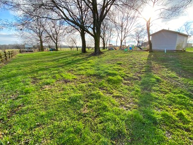 Backyard1