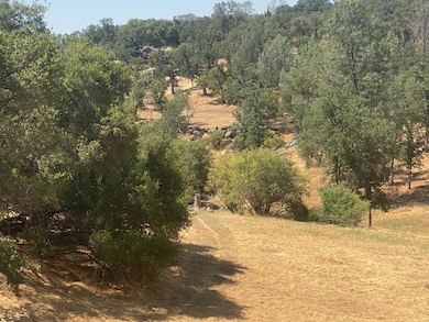 17 Titan Way, Yosemite Lakes, CA 93614 - photo 7