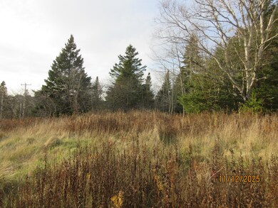 Lot 1 Smalls Point Rd, MacHiasport, ME 04655 - photo 5