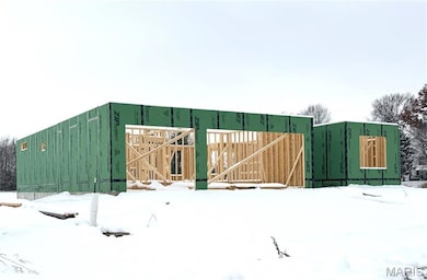 2761 Bristol Way, Glen Carbon, IL 62034 - photo 3