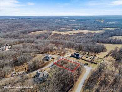 Lot 1 Annabell Ln, Bella Vista, AR 72715 - photo 4