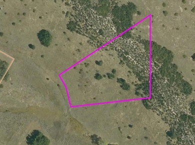 Lot 17 Birch Dr, Colorado City, CO 81069 - photo 3