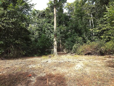 0 Dean Rd unit 225032132, Ostrander, OH 43061 - photo 6