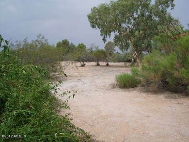 Flat land for your horse set up