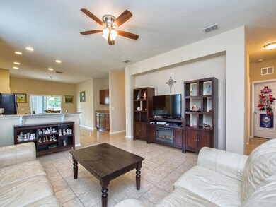 30116 Tokara Terrace, Mount Dora, FL 32757 - photo 6