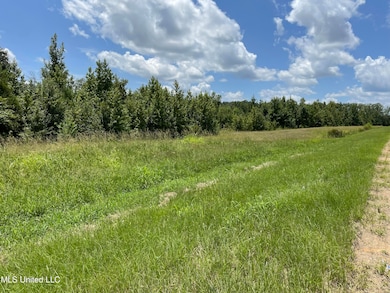 0 Canton Pkwy unit 4083990, Canton, MS 39046 - photo 3