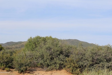 Variety of Trees