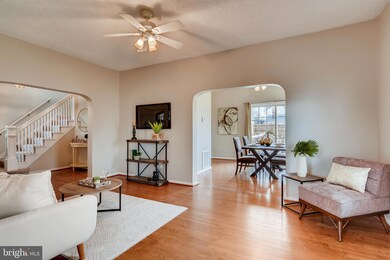 6607 Birchwood Ave, Baltimore, MD 21214 - photo 7