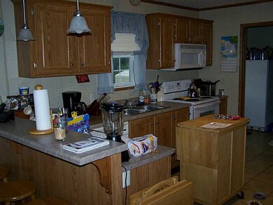 14206 Mineral Springs Rd, West Fork, AR 72774 - photo 3