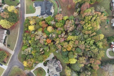 951 Ardmore Tr, Hoschton, GA 30548 - photo 6