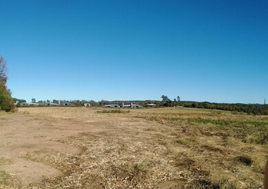 TBD Concord Church Rd, Ellerbe, NC 28338 - photo 6