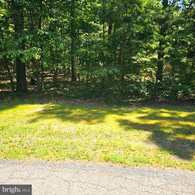 0 Anna Coves Ct unit VALA2006040, Mineral, VA 23117 - photo 3