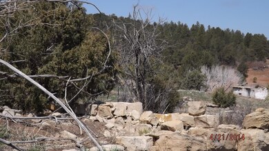 Morley ruins 3