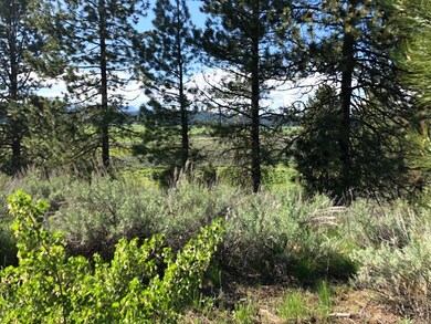 Blanketed With a Variety of Trees & Shrubbery