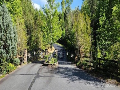 0 S Cross Creek Trail unit 12 CAR4258799, Mill Spring, NC 28756 - photo 3