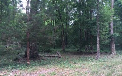 1326 SW Montana St, Fort White, FL 32038 - photo 2