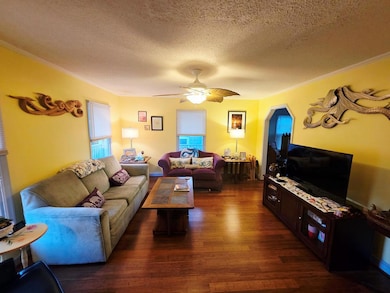 5169 Winder Ln, Chincoteague Island, VA 23336 - photo 4