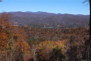 View from neighboring property with clearing.