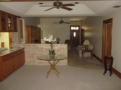 245 Rebecca Dr, Alamo, TX 78516 - photo 4