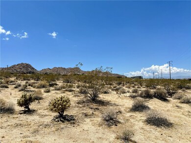 64200 Sullivan Rd, Joshua Tree, CA 92252 - photo 4