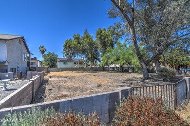 Lot 6
