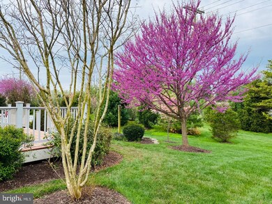 13190 Triple Crown Loop, Gainesville, VA 20155 - photo 5