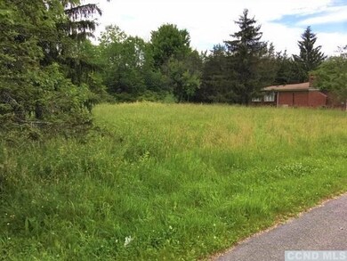 0 Constantine Ct unit 136708, Athens, NY 12015 - photo 4