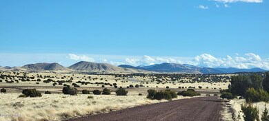 0 Cr 5120 unit 241418, Concho, AZ 85924 - photo 6