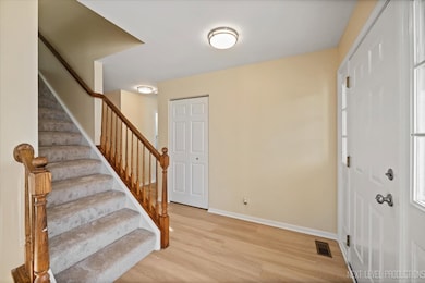 438 W Meadow Mist Ln, Round Lake, IL 60073 - photo 3