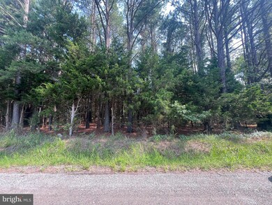 0 Tidewater Trail unit VAES2000690, Center Cross, VA 22437 - photo 6