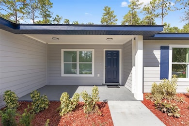 8001 SW 135th Loop, Ocala, FL 34473 - photo 3