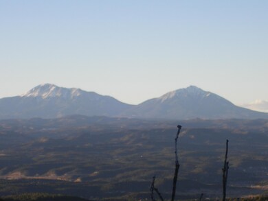 50 Pine Nut Dr unit 2/Lot 70, Trinidad, CO 81082 - photo 4