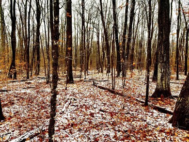 TBD-40AC Highway 27, Onamia, MN 56359 - photo 3