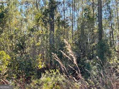 0 Landing Trail, Waynesville, GA 31566 - photo 5