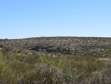 0 Shafter Crossing Rd, Dryden, TX 78851 - photo 2