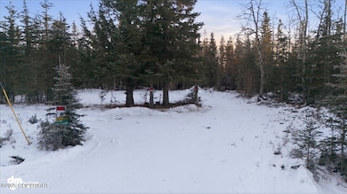 1208 Kaknu Way, Kenai, AK 99611 - photo 6