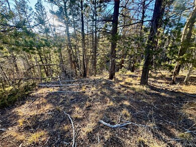 lot 5888 Loubier Rd, Fort Garland, CO 81133 - photo 3