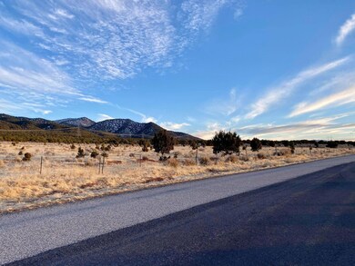 0 5585 Bench Rd Enterprise Ut Rd, Enterprise, UT 84725 - photo 7